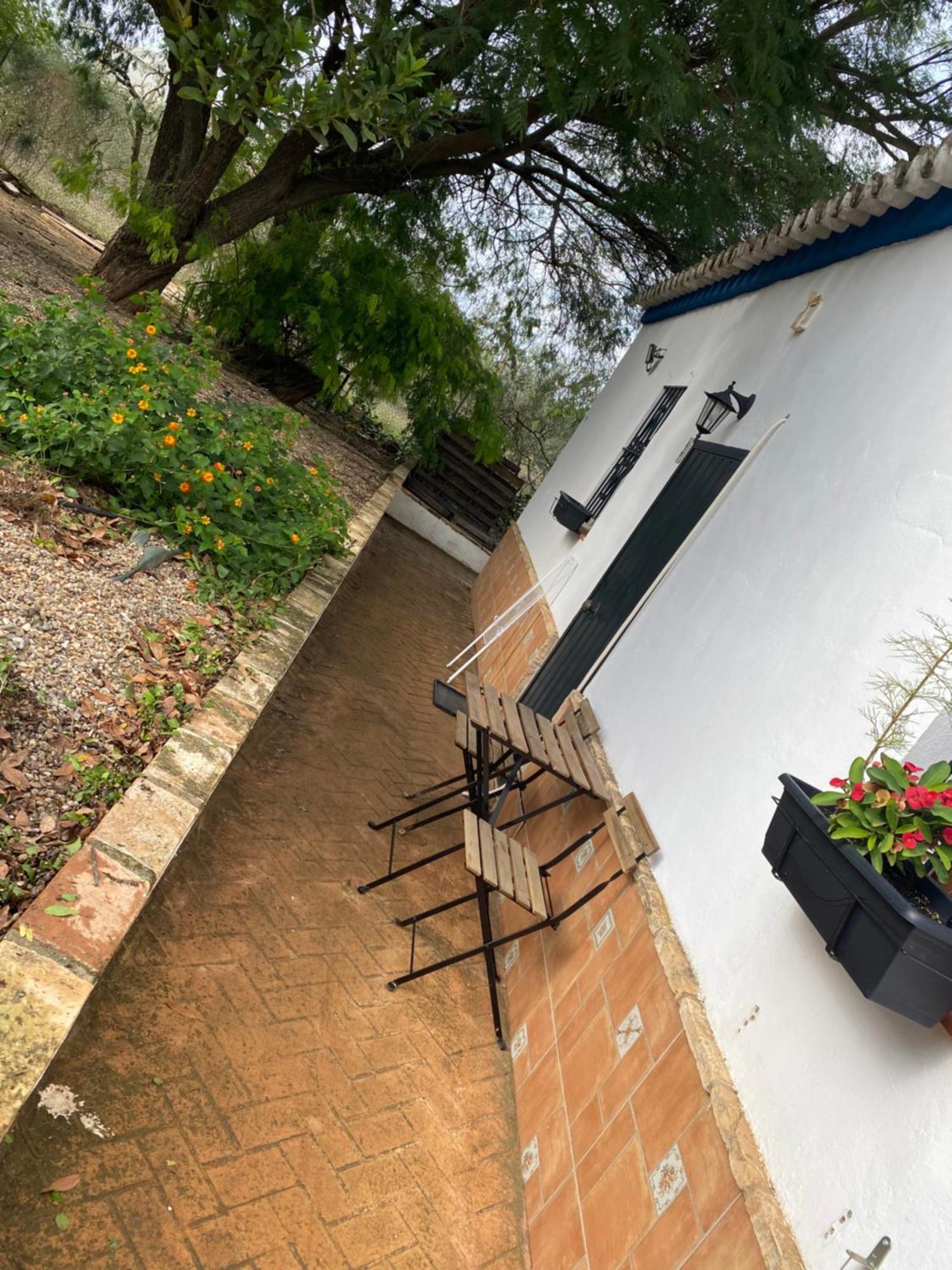 Casa Los Laureles Pilas Kültér fotó