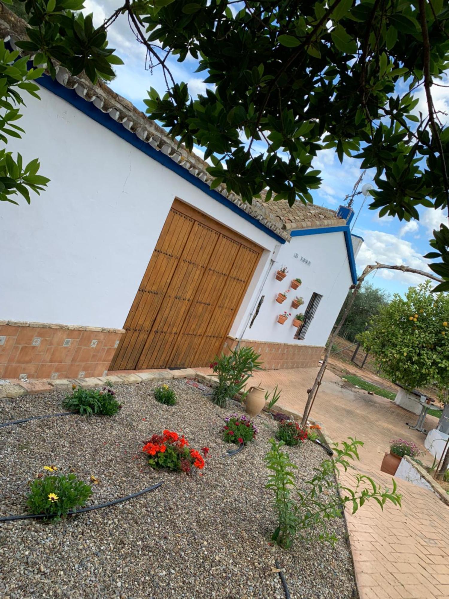 Casa Los Laureles Pilas Kültér fotó