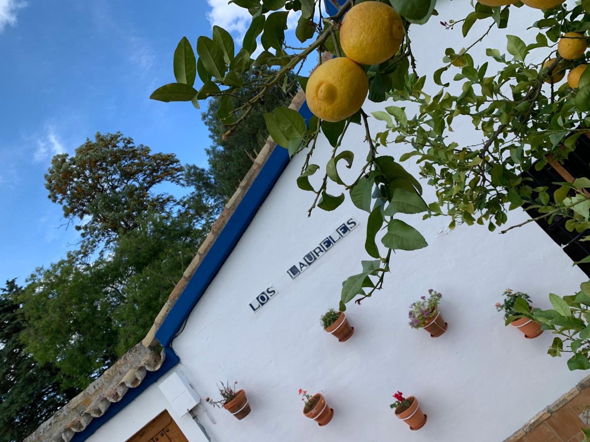 Casa Los Laureles Pilas Kültér fotó